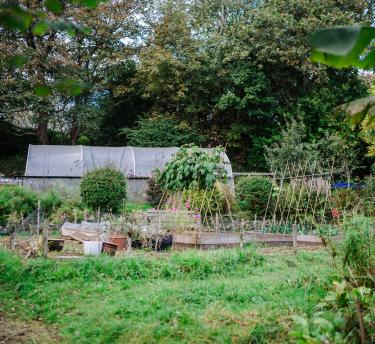 Vounder Therapy Garden